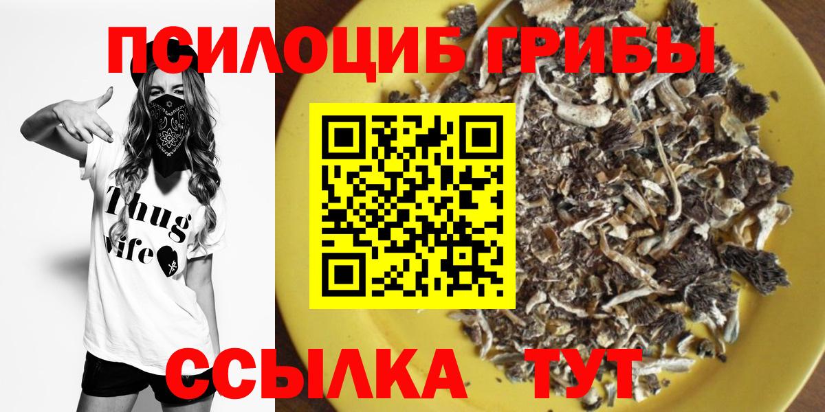 Галлюциногенные грибы GOLDEN TEACHER Можайск