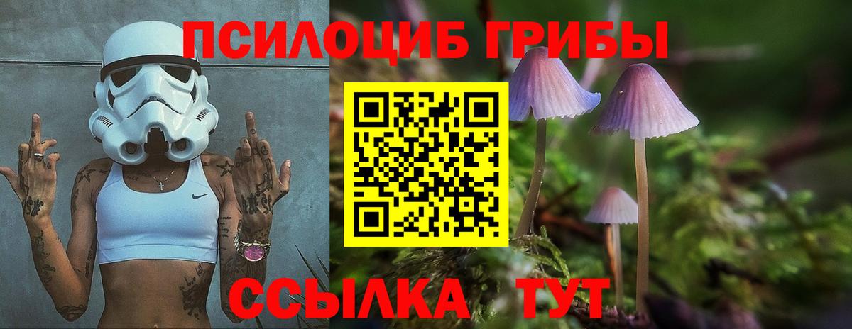 Псилоцибиновые грибы мухоморы  Вход с VPN  Можайск 
